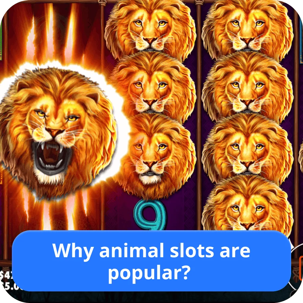 Popular animal slots