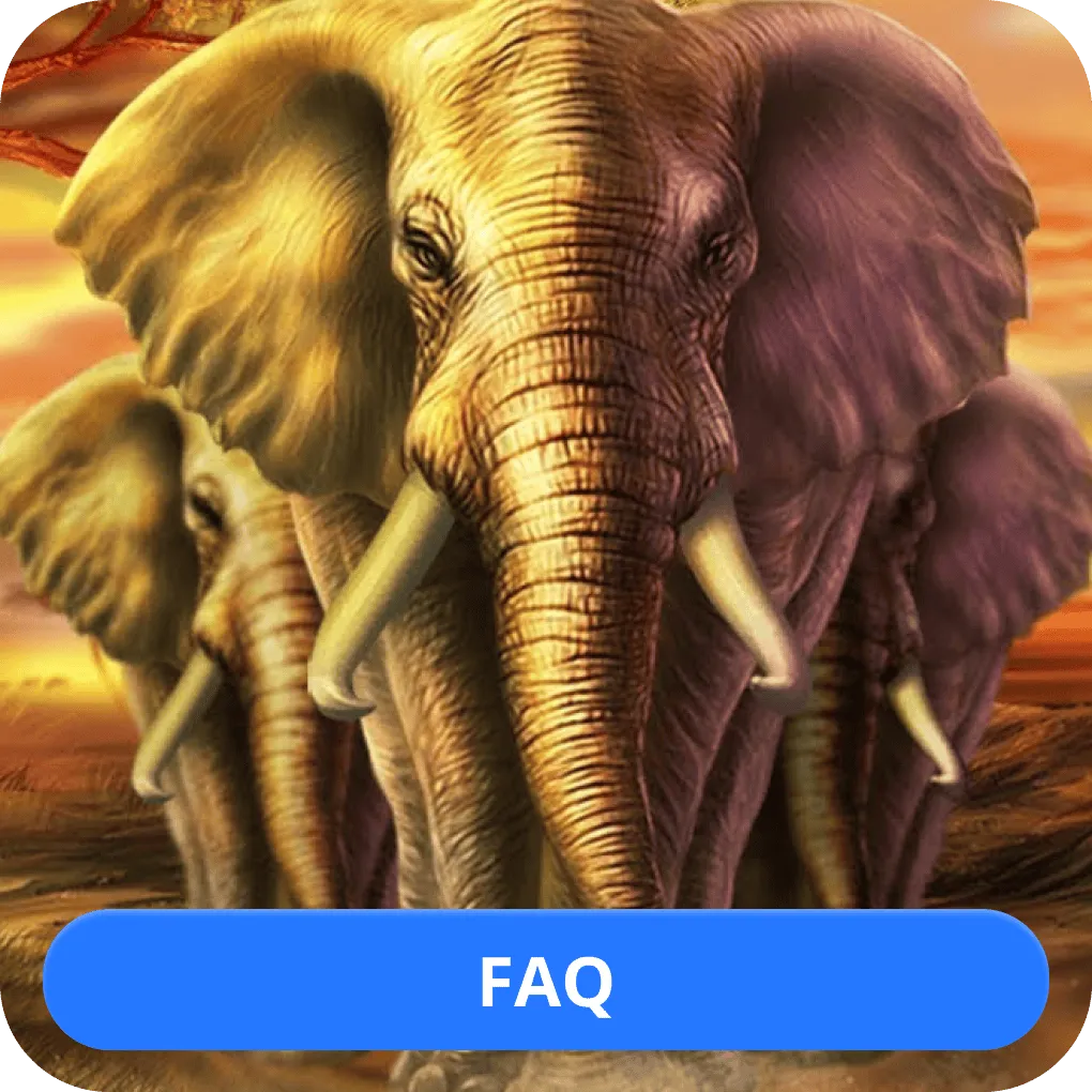 Animal slots FAQ